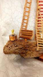 driftwood-sailing-boat-shark