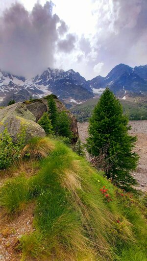 beauty-of-alpes