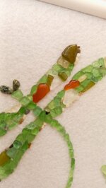 sea-glass-picture-dragonfly