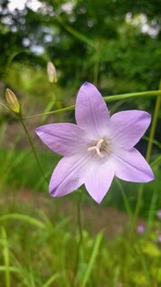 whatsapp image 2026-03-07 at 17.01.41.jpeg