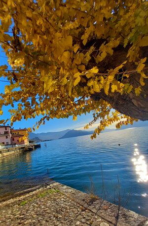 autumn-over-the-lake