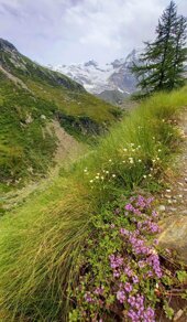 whatsapp image 2026-03-08 at 17.12.29 (5).jpeg