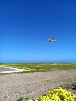 whatsapp image 2026-03-21 at 22.31.37.jpeg