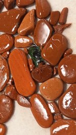 sea-stone-picture-running-horse