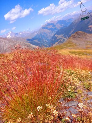 red-mountains