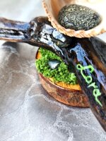 candle-holder-green-moss