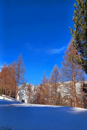 december-in-alpes