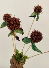 whatsapp image 2026-03-08 at 17.12.29 (2).jpeg