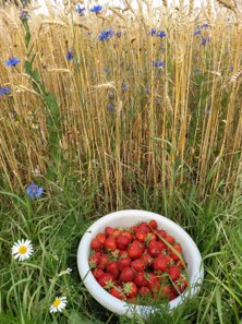 whatsapp image 2026-03-07 at 17.07.29 (3).jpeg