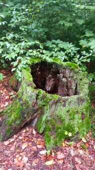 whatsapp image 2026-03-15 at 18.50.48 (1).jpeg