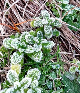 whatsapp image 2026-03-08 at 17.12.29 (8).jpeg