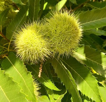 whatsapp image 2026-03-15 at 18.50.49.jpeg