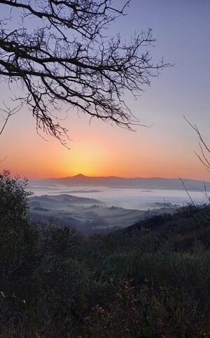 sunrise
