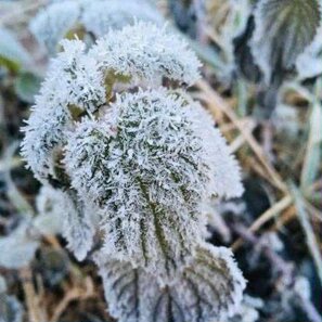 whatsapp image 2026-03-07 at 17.07.29 (1).jpeg