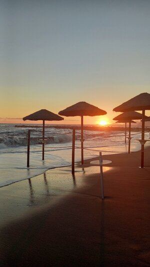 summer-beach