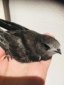 whatsapp image 2026-03-07 at 17.07.29 (2).jpeg