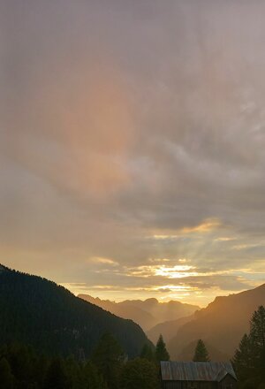 nature_11.jpeg