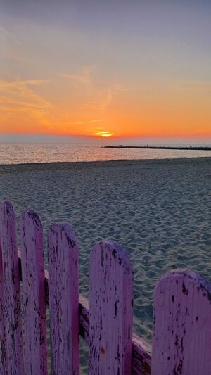 purple-fence