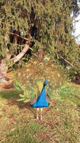 whatsapp image 2026-03-08 at 17.12.29 (3).jpeg