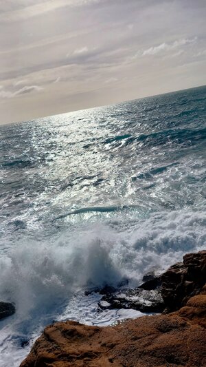 amazing-wave