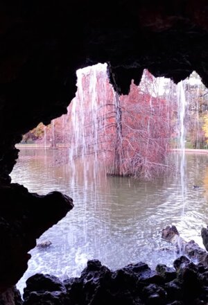 nature_01.jpeg