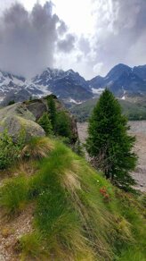 whatsapp image 2026-03-08 at 17.12.29 (6).jpeg