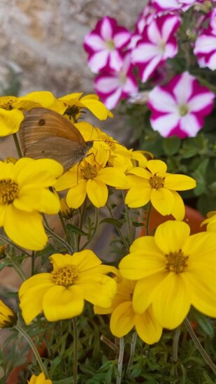 whatsapp image 2026-03-08 at 17.12.29 (4).jpeg