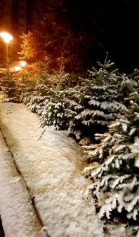 whatsapp image 2026-03-15 at 18.50.48 (2).jpeg