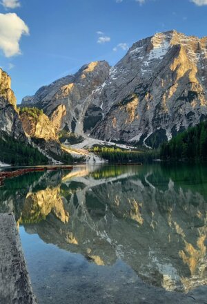 nature_08.jpeg