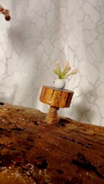 driftwood-luxury-sailing-boat