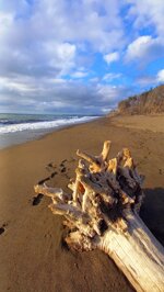 treasure-of-the-beach