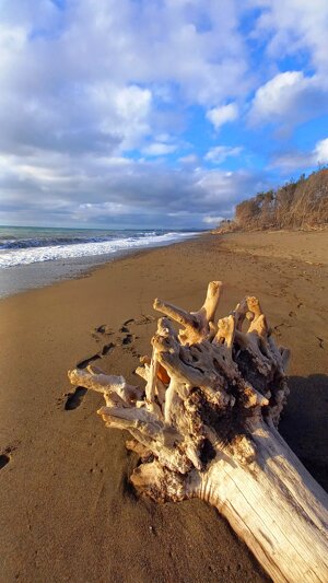treasure-of-the-beach