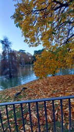 beautiful-retiro-park