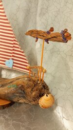 driftwood-sailing-boat-shark