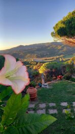 whatsapp image 2026-03-08 at 17.12.29 (7).jpeg