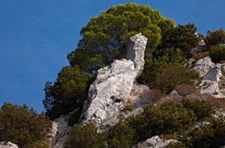 villa%20malaparte%202.jpeg