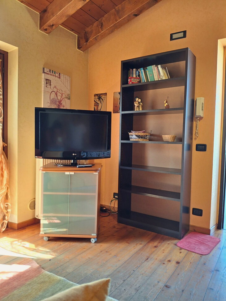 tv e libreria casa madonnina.jpeg