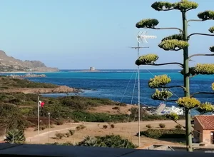 Vista sulla Torre della Pelosa a Stintino