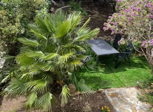 Giardino mediterraneo dell'appartamento con vista mare