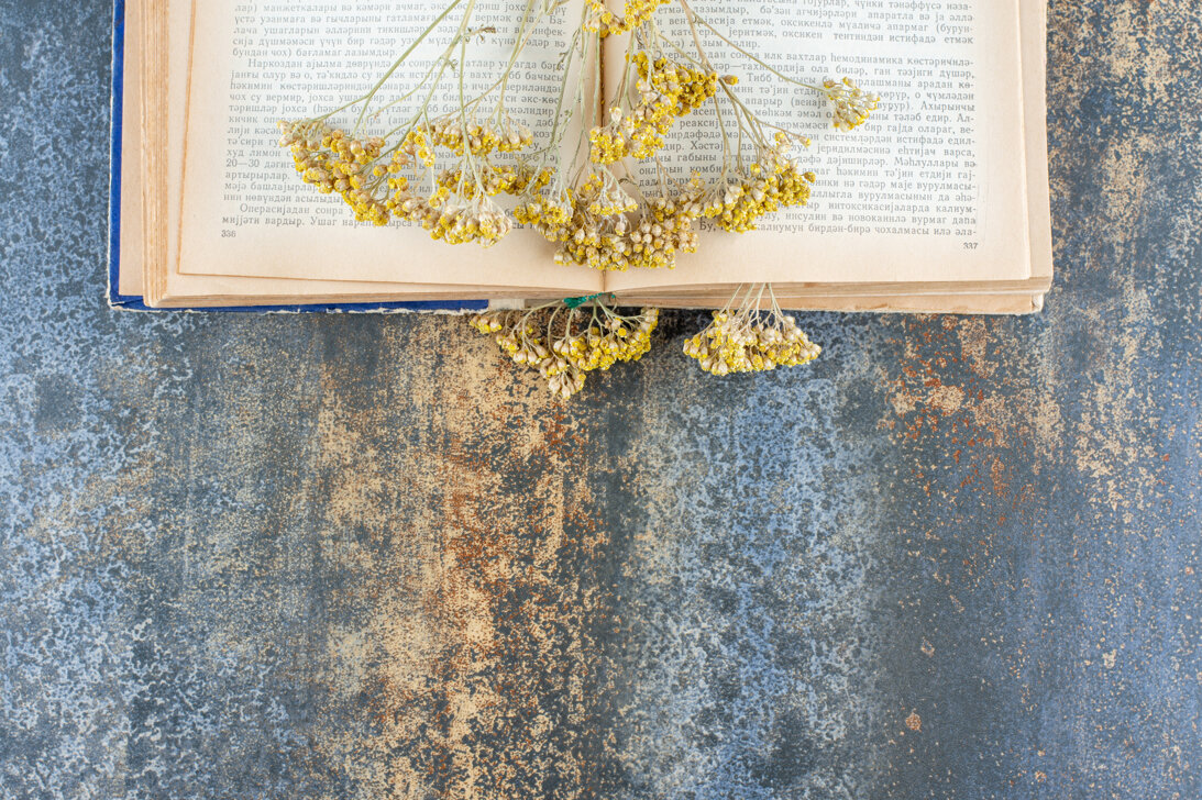 dried-yellow-flowers-top-open-book.jpeg dried-yellow-flowers-top-open-book.jpeg