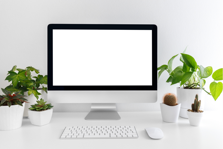 attrezzature informatiche