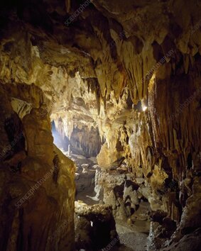 c0397419-stalactites,_toirano_caves,_liguria,_italy.jpeg