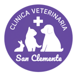 logo-sanclemente-pacifico-font