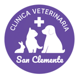 logo-sanclemente-pacifico-font