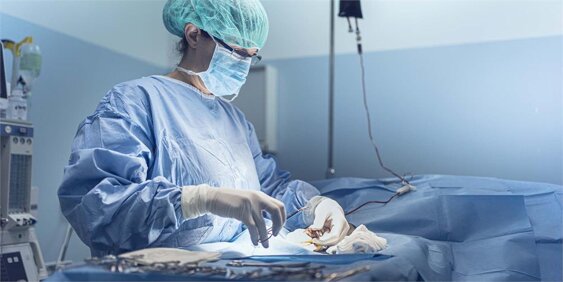 foto-chirurgia-veterinaria-generale-ospedale-veterinario-san-francesco-milano-752535458.jpeg