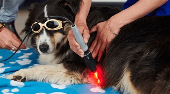 foto-laserterapia.jpeg