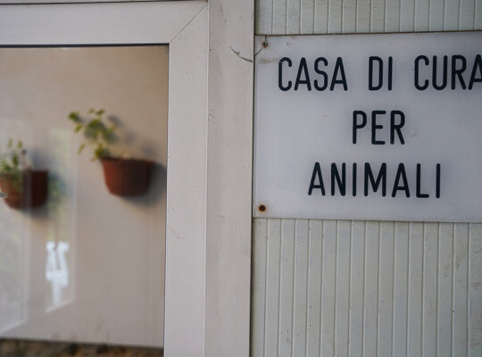 dsc03395%20copy.jpeg