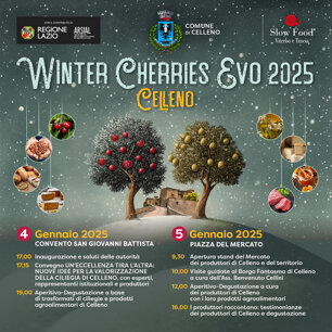 winter cherries_instagram.jpeg