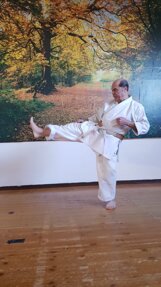 Calcio frontale del Maestro Calcio frontale del Maestro