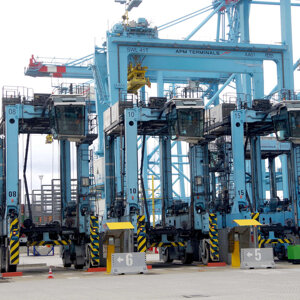 4233-0419%20-%20h%20tem%20terminale%20vado%20gateway%20-%20vado%20ligure%20-%20giu%2025%20-%2002s.jpeg